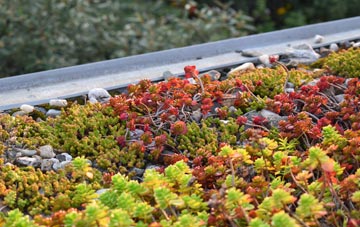 the cost of Rexon green roof installation