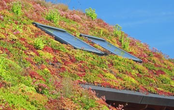 Rexon living roof systems
