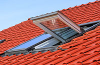 Rexon roof window